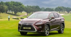 Giá xe Lexus RX350 cũ (10/2025)