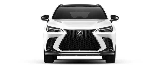 Lexus-NX350-F-Sport-phan-dau-xe