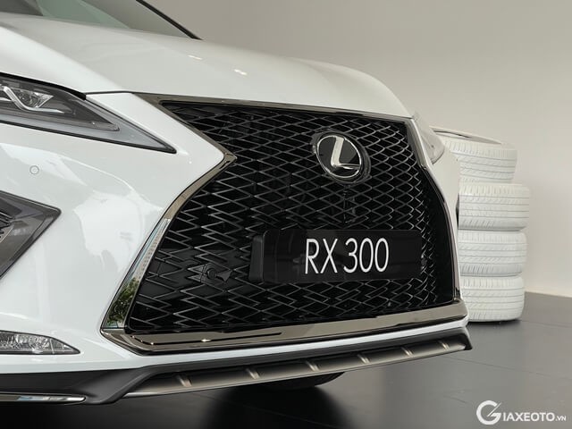 Lexus-RX300-F-Sport-can-canh-luoi-tan-nhiet