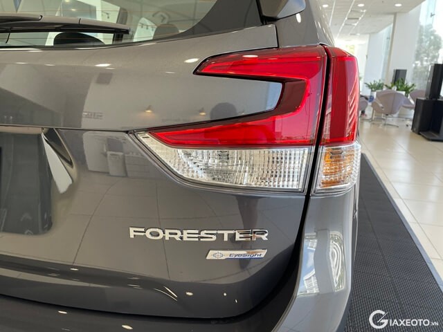 Subaru-Forester-den-hau