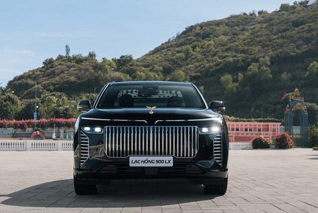 Vinfast-lac-hong-900-lx-dau-xe
