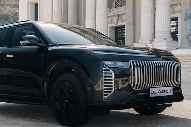 Vinfast-lac-hong-900-lx-suon-xe