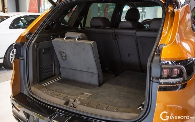 cop-sau-xe-vinfast-president