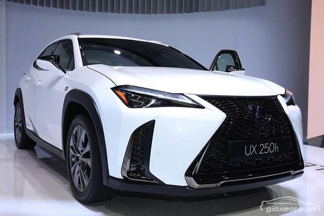 dau-xe-lexus-ux250h