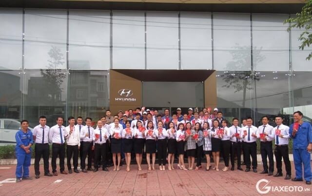 doi-ngu-nhan-su-hyundai-binh-dinh