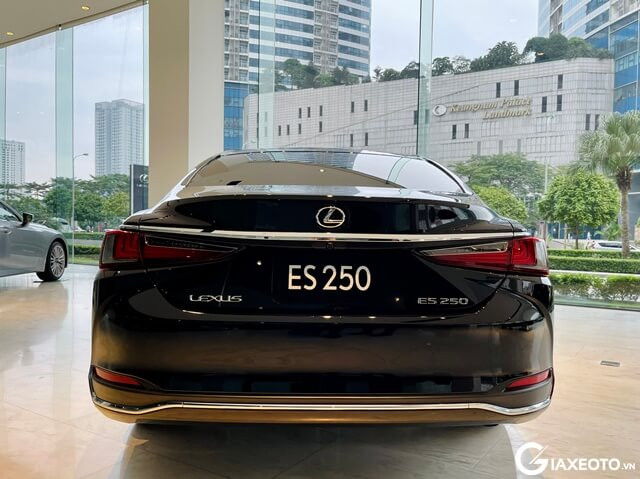 duoi-xe-lexus-es250-2024