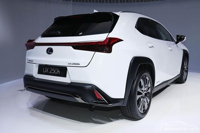 duoi-xe-lexus-ux250h