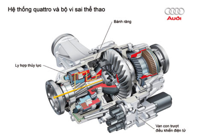 he-dan-dong-quattro-cua-audi