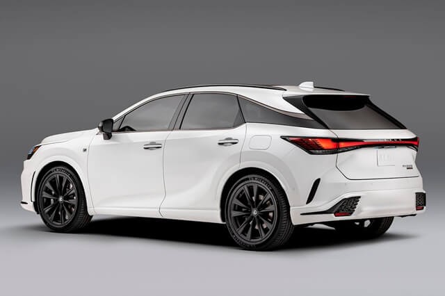 hong-xe-lexus-rx500h