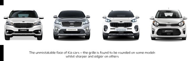 luoi-tan-nhiet-mui-ho-tren-xe-kia