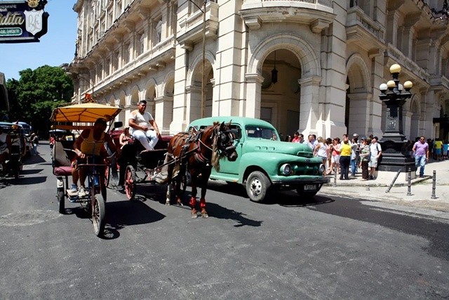 nguoi-ngua-ngua-nguoi