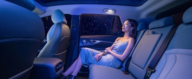 noi-that-gac-aion-v-plus