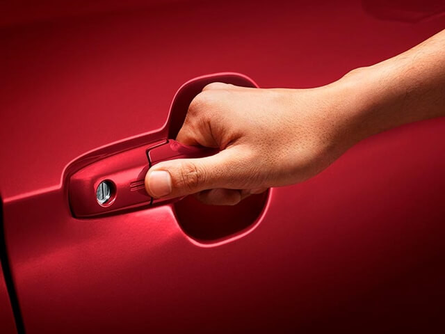 tay nam cua thong minh