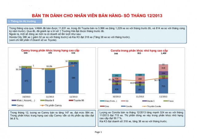thi-truong-xe-hoi-thang-12-2013